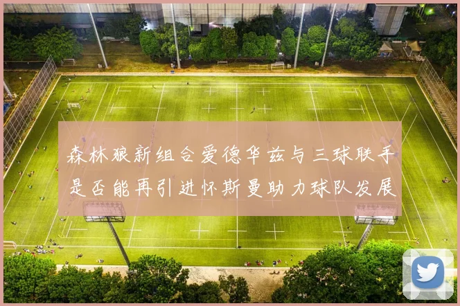 森林狼新组合爱德华兹与三球联手是否能再引进怀斯曼助力球队发展